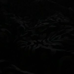 Meet your Posher, Imani